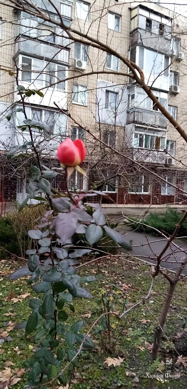 48f598c940824bb01.webp