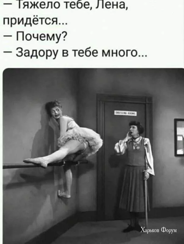 48fe9391e5c76c14d2.webp