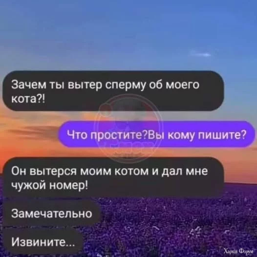 490408334_1850102645779356_2568737042698806085_n.webp