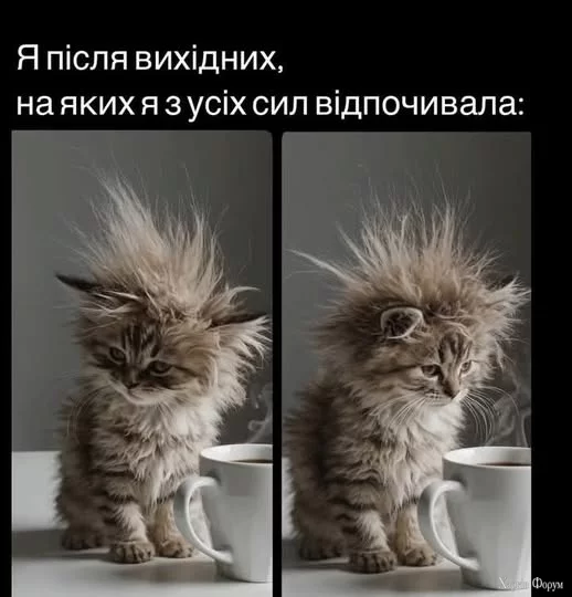 490701235_1218454436950290_7912051319473906306_n.webp