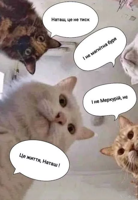 491162827_10235538908909278_8171966667695835249_n.webp