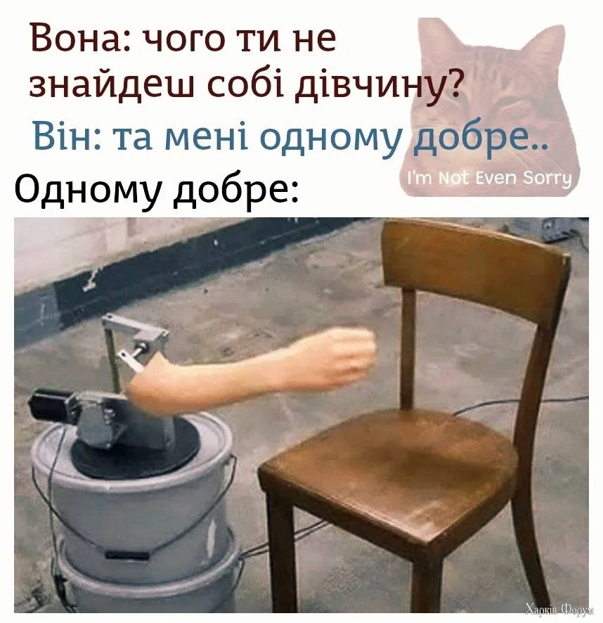 491965366_962300725985052_7696466670233700375_n.webp