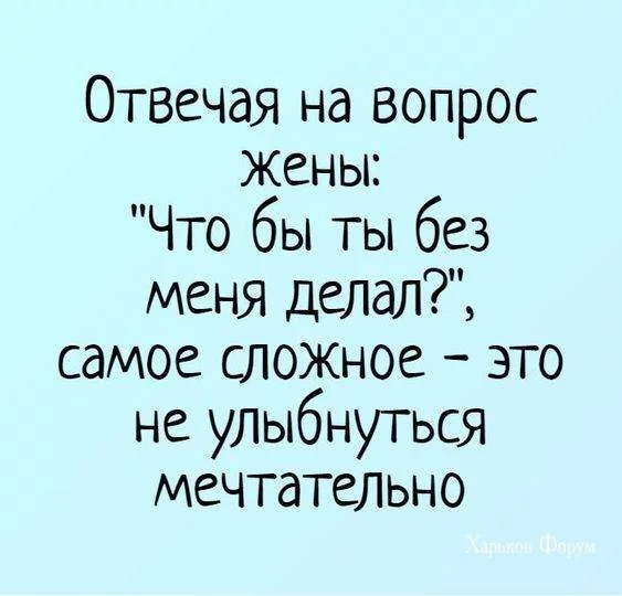 491c3c2c6f36ad0b.webp