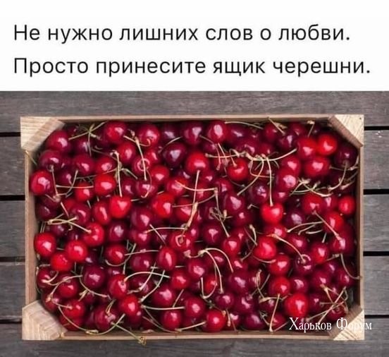 491ea621aa62eed2d8a23f83.jpg