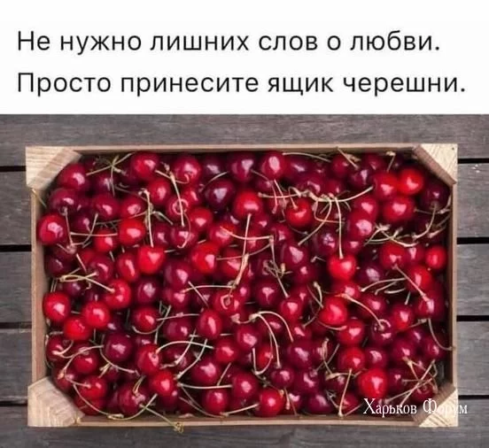 491ea621aa62eed2d8a23f83.webp