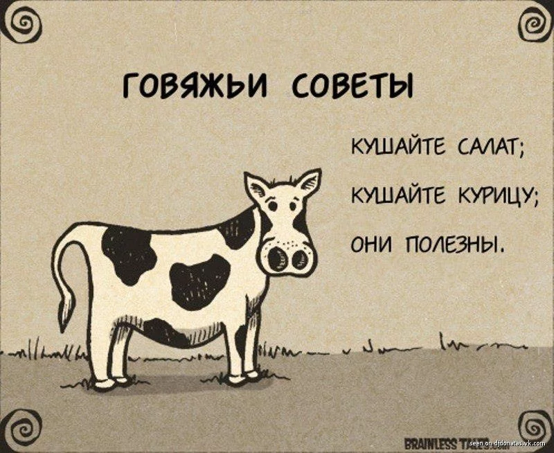 49205.webp
