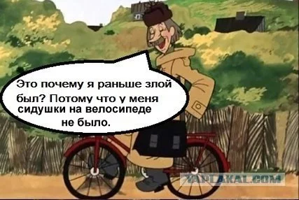 492174.webp