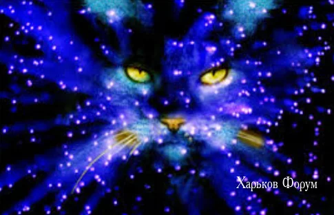 4921bca68c8e63a8310595.webp