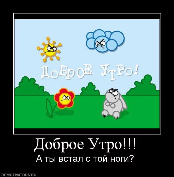 49224993_744165_dobroeutro.webp