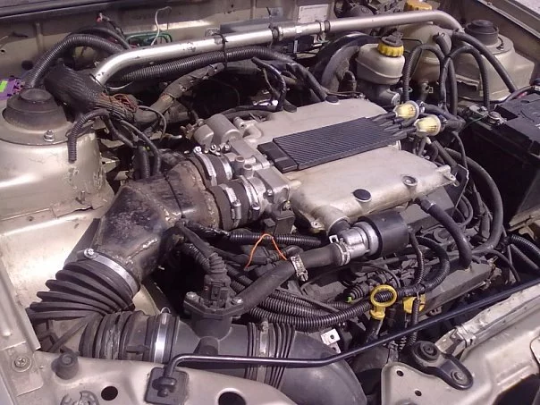 4923442-88ccd6ec41bbf420-large.webp