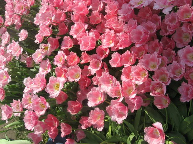 4925546_m.webp