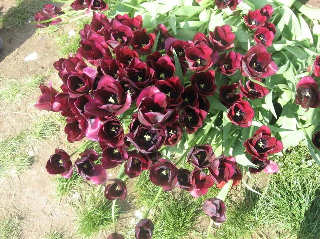 4925548_m.webp