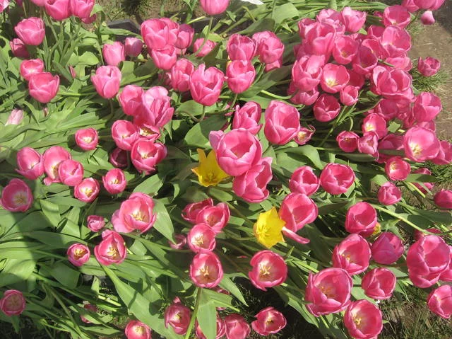 4925549_m.webp