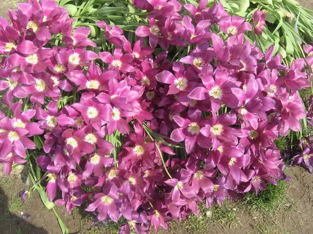 4925550_m.webp