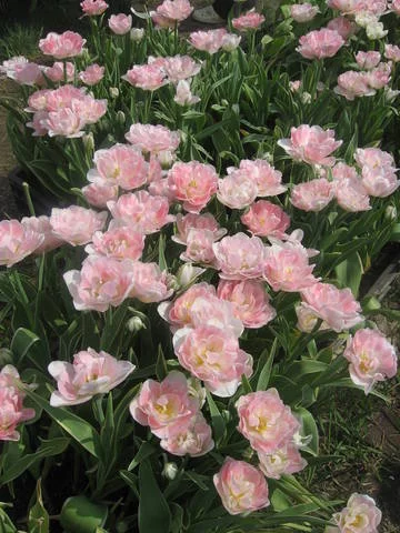 4925578_m.webp