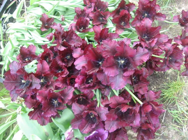 4925580_m.webp