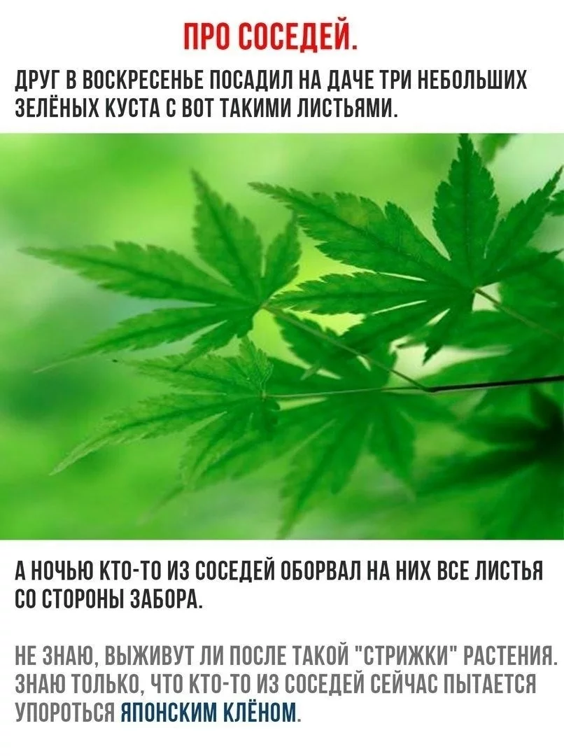 4927210b6d91886f3.webp