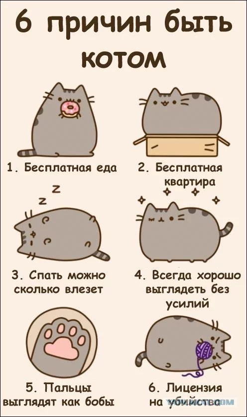 493199.webp
