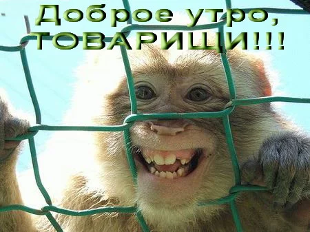 49383196_01a14bf5ef19.webp