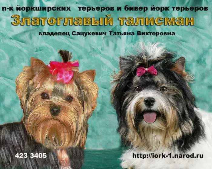 494.webp