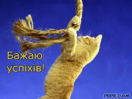 4944222_m.webp