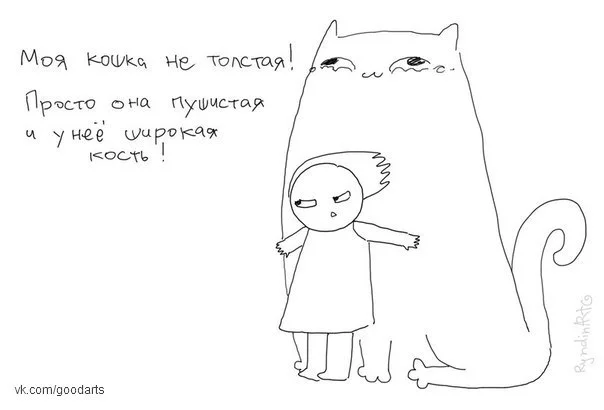 49489.webp