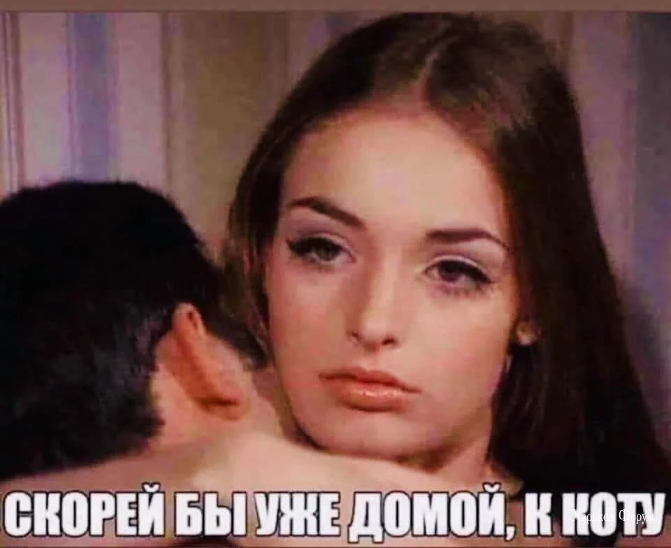 4964787c32a7b1e65e036.webp
