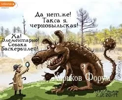 496bbfd79b8bac9dd.webp