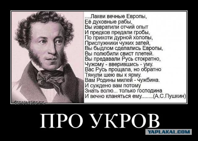 4970354.webp