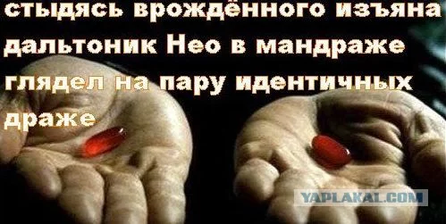 4973854.webp