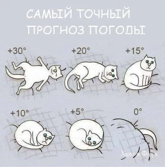 49757d480eb7697e47.webp