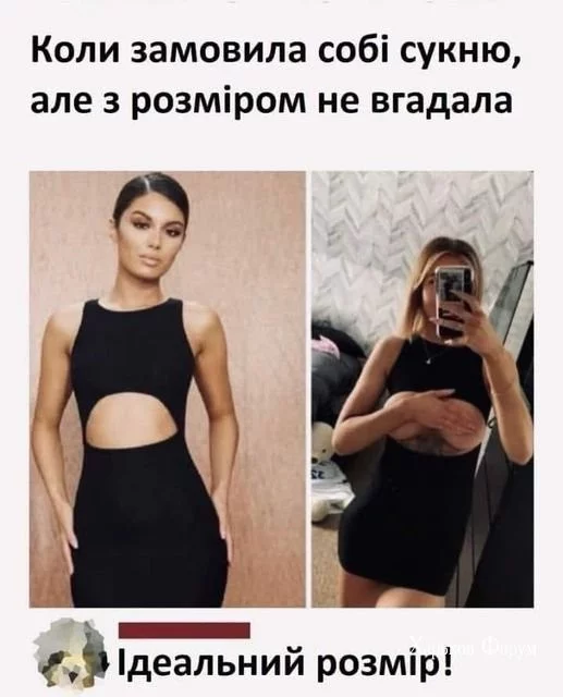 497655f2ef2ddd2eb9c12.webp