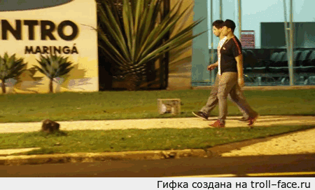 499097_original.gif