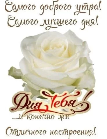 499f1fb93ce71621a029fed.webp