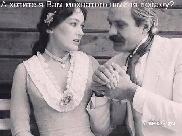 49a3294338c17fee30.webp