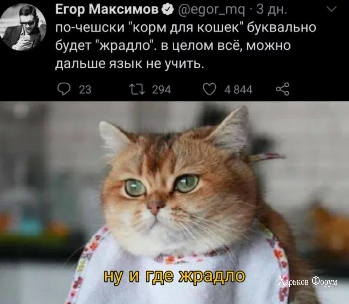 49accb73e6648b8805af4f.webp
