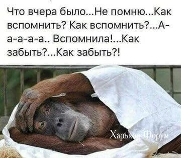 49af2f45205b145f.webp