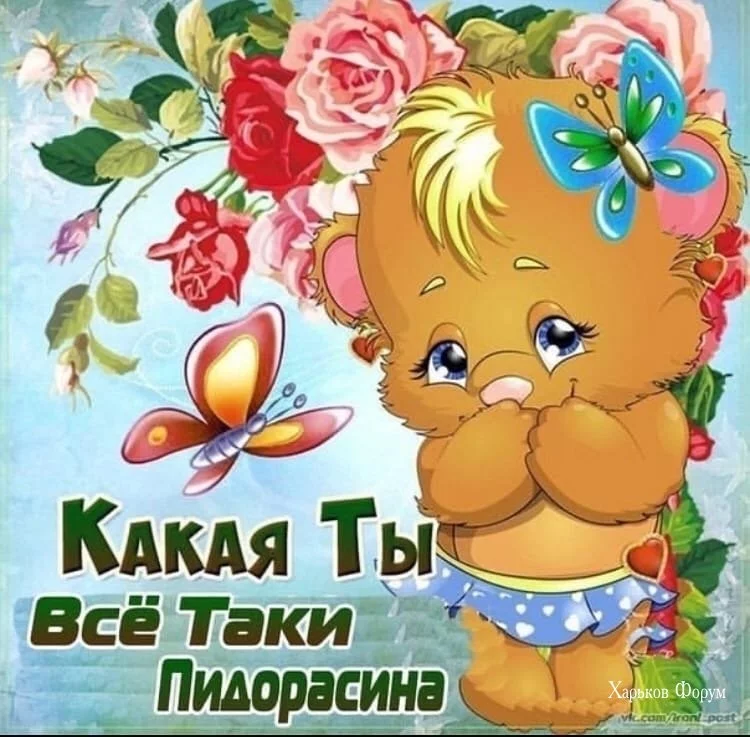 49d2c1bc0e1fadc079e7747.webp