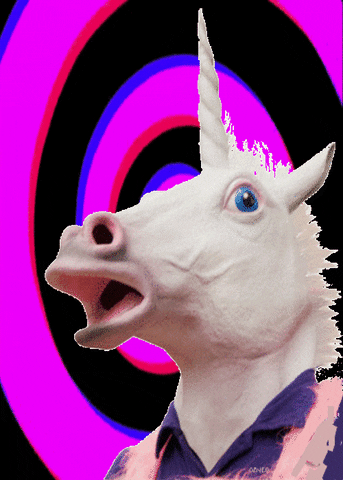49d5afc1fc5ff5c4591.gif