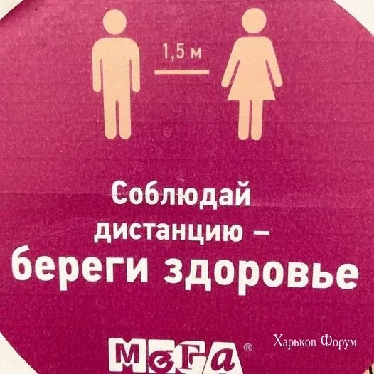 49e937720ed55a14adfe.webp