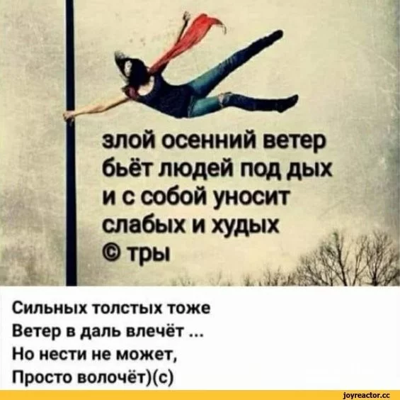 49fd19aa325c3cf654867992.webp