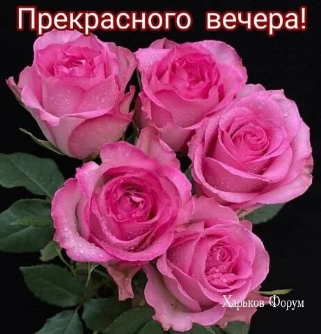 4a1772a580c7c9594b2ee43.webp