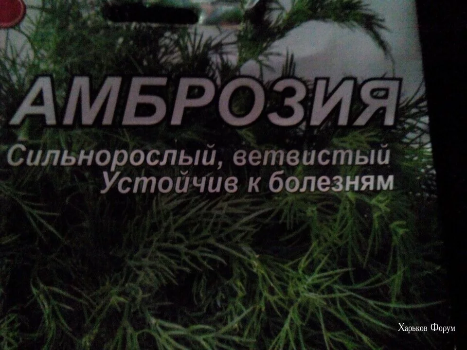 4a1e0c9a549ec0a591c.webp