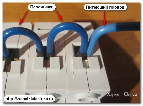 4a2204e63b12273ff8.webp