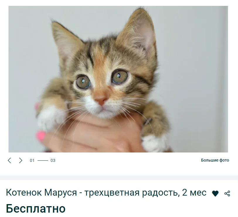 4a3110781cd8719002b67a5.webp