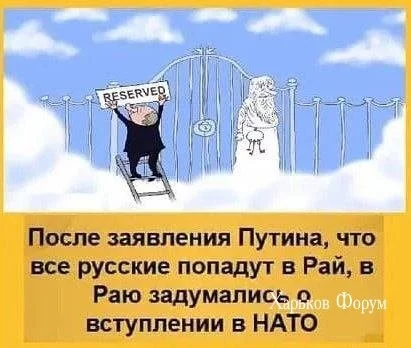 4a3280f57b50ff307fd8c.webp