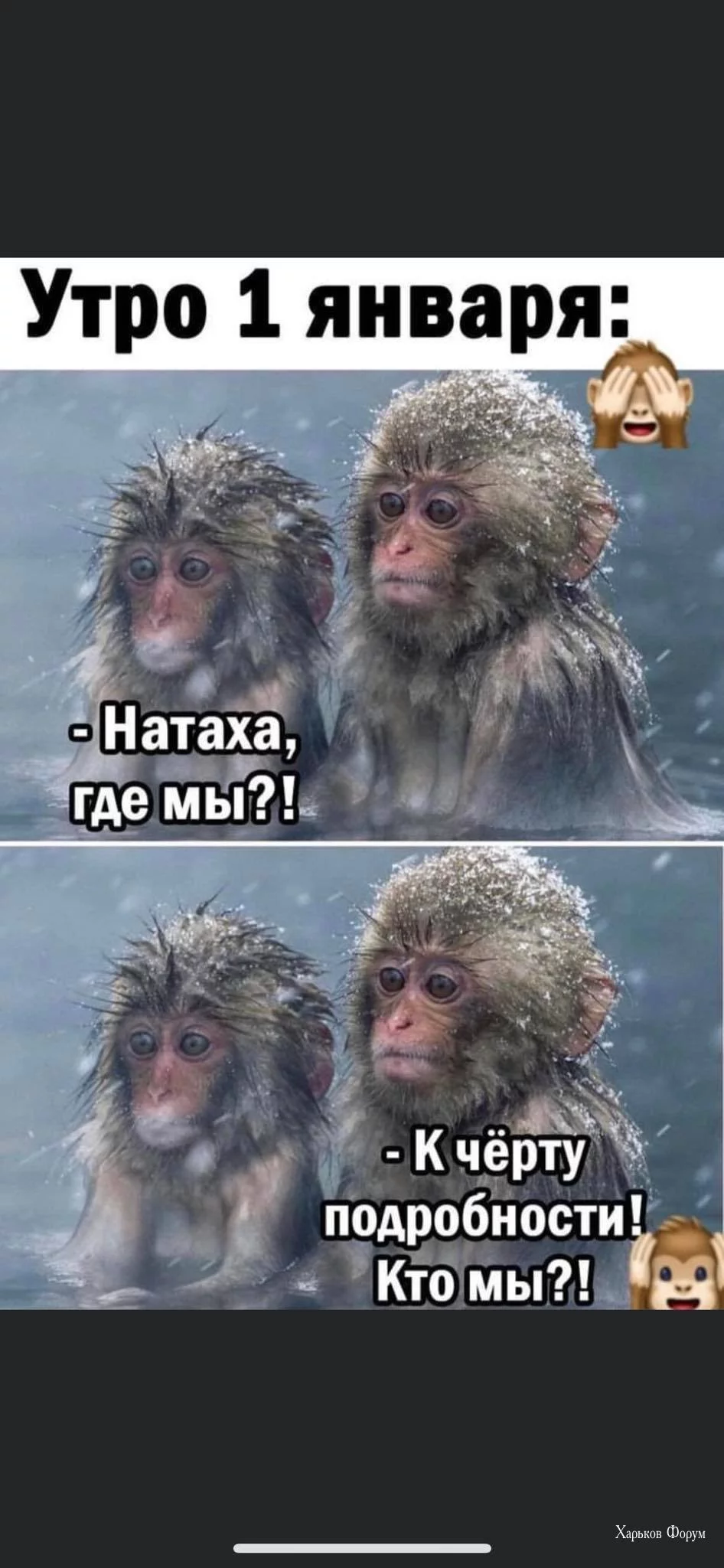 4a4aeb2012625aef3ce.webp