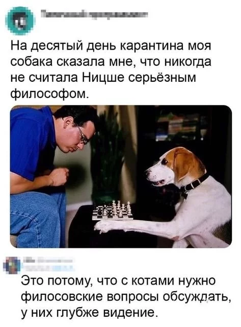 4a51736488742701.webp