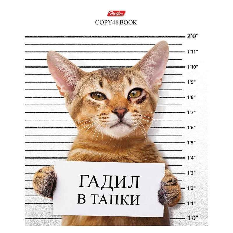 4a57f5ea8e86c2d2514c.webp