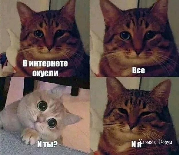 4aaee641625799bef6303.webp